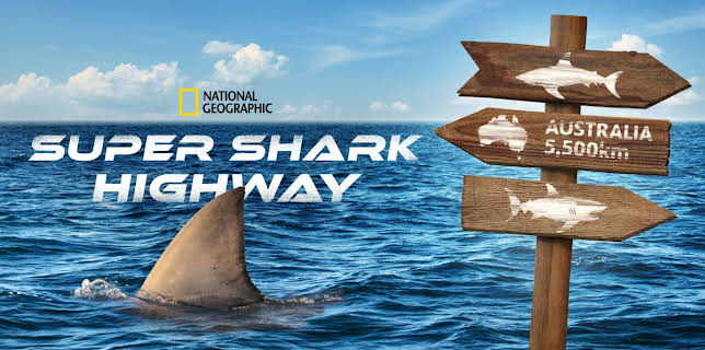 Super Shark Highway
