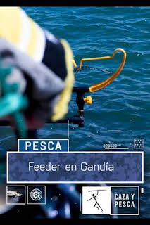 11:40: Feeder en Gandía | Caza y Pesca | 2/17 2026