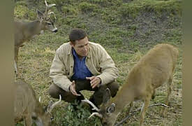 The Jeff Corwin Experience: Season 1: Alaska: Northern Exposure