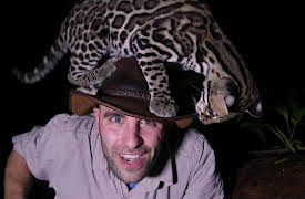 Season 1: Big Cat Pounce