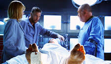 CSI: Den Tätern auf der Spur