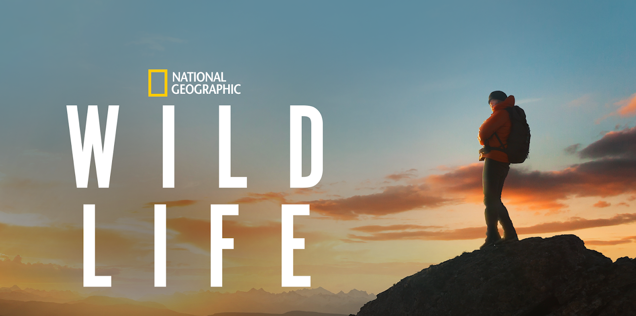Wild Life (2023)