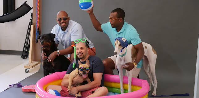 22:00: The Vet Life (S3 E11) (S3) | Animal Planet | 10/29 2025