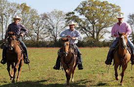 The Cowboy Way: Bubba, Cody, and Booger