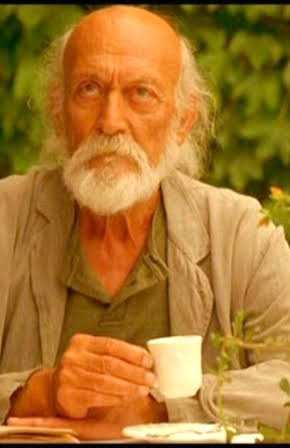 Josep Maria Domènech as Julio