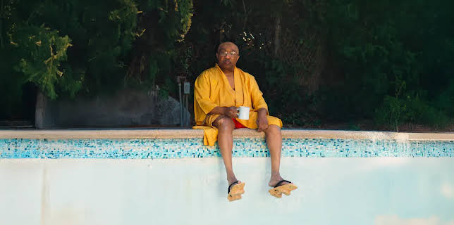 Swamp Dogg Gets His Pool Painted (2025)