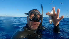 Grandes Documentales Depredadores Letales