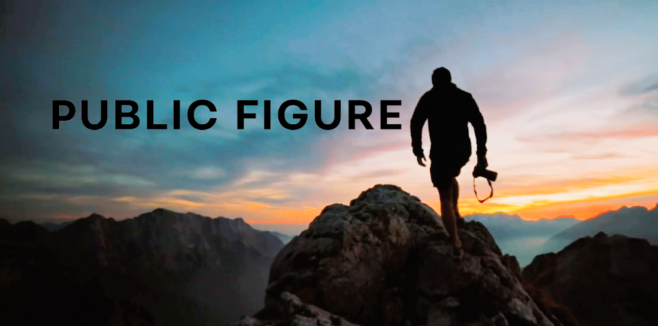 Public Figure (2019)