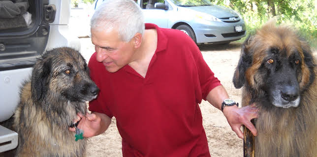 16:00: Dogs 101 (S3 E12) (S3) | Animal Planet | 12/25 2025