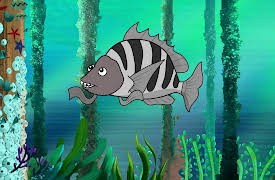 I'm a Fish: I'm a Sheepshead Fish