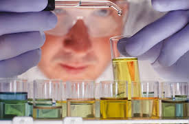 The Philosopher's Toolkit: How to Be the Most Rational Person in Any Room: Put It to the Test—Beautiful Experiments