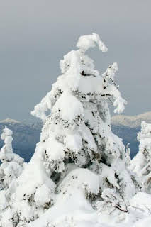 19:20: Japón, las cuatro estaciones: Otoño e invierno | La Otra | 4/4 2026