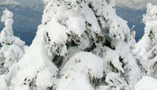 Japón, las cuatro estaciones: Primavera y verano