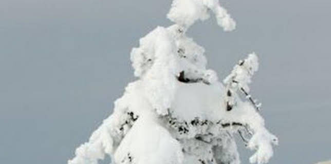 21:05: Japón, las cuatro estaciones: Otoño e invierno | La Otra | 3/15 2026