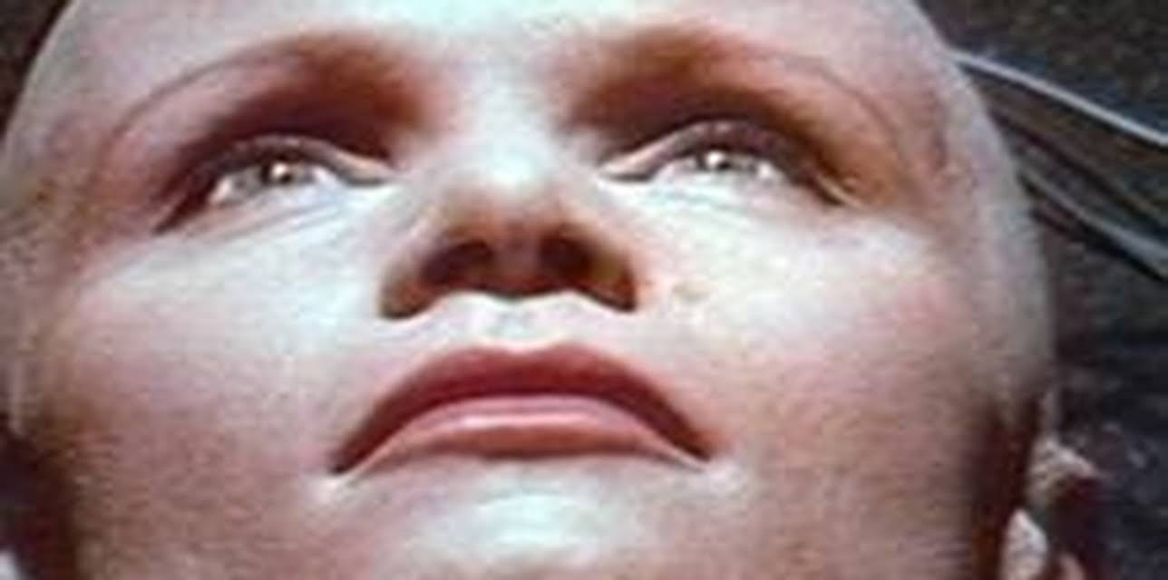 Eve of Destruction (1991)