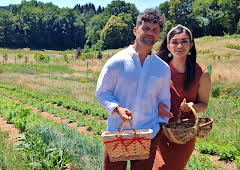 The Great B&B Challenge