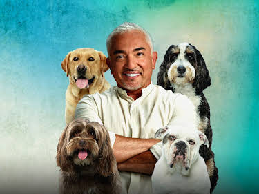 15:20: Cesar Millan: Better Human Better Dog - Bessere Menschen, bessere Hunde | Sixx | 5/31 2026