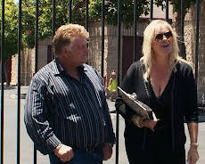 Storage Wars - Die Geschäftemacher