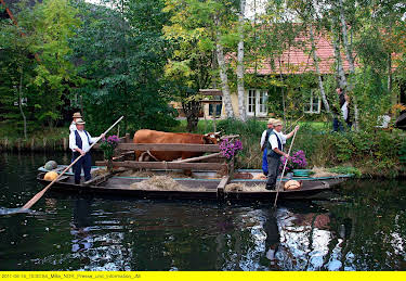 05:05: Wildes Deutschland - Der Spreewald | 3SAT | 4/27 2026