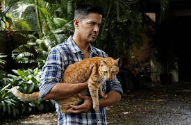 Magnum P.I. S1: The Cat Who Cried Wolf