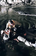 Desmond Aldridge som 