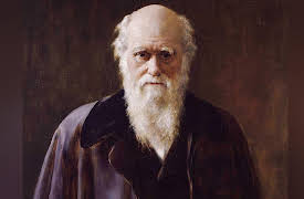 The Big History of Civilizations: The Rise of Humanity