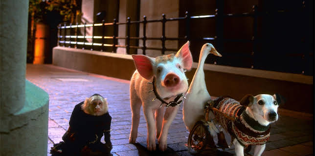 10:00 AM: Babe: Pig in the City | Channel 4 | 12/25 2025