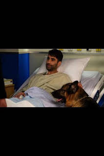 21:01: Hudson y Rex (T4): Ep.14 Hagan hueso | AXN | 3/31 2026