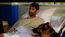 Hudson y Rex (T4): Ep.14 Hagan hueso