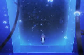 Cagaster of an Insect Cage: Finally, For You