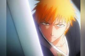 Bleach: (English Dubbed) The Substitute Season 1: Bleach 5