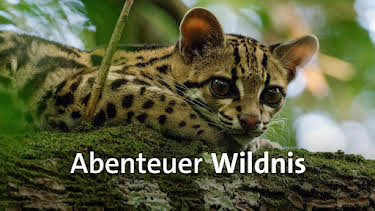 11:05: Abenteuer Wildnis | BR Fernsehen | 6/19 2026