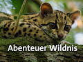 Abenteuer Wildnis