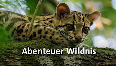 Abenteuer Wildnis