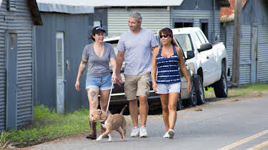 16:00: Pit Bulls & Parolees (S10 E10) (S10) | Animal Planet | 2/17 2026