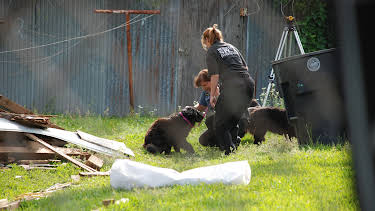 10:20: Animal Cops Houston (S9 E14) (S9) | Animal Planet | 4/1 2026