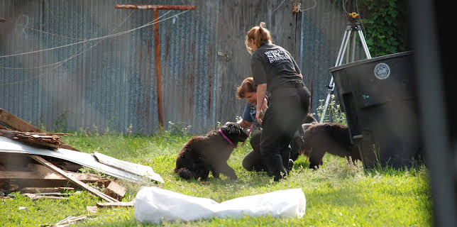 10:20: Animal Cops Houston (S9 E14) (S9) | Animal Planet | 2/9 2026