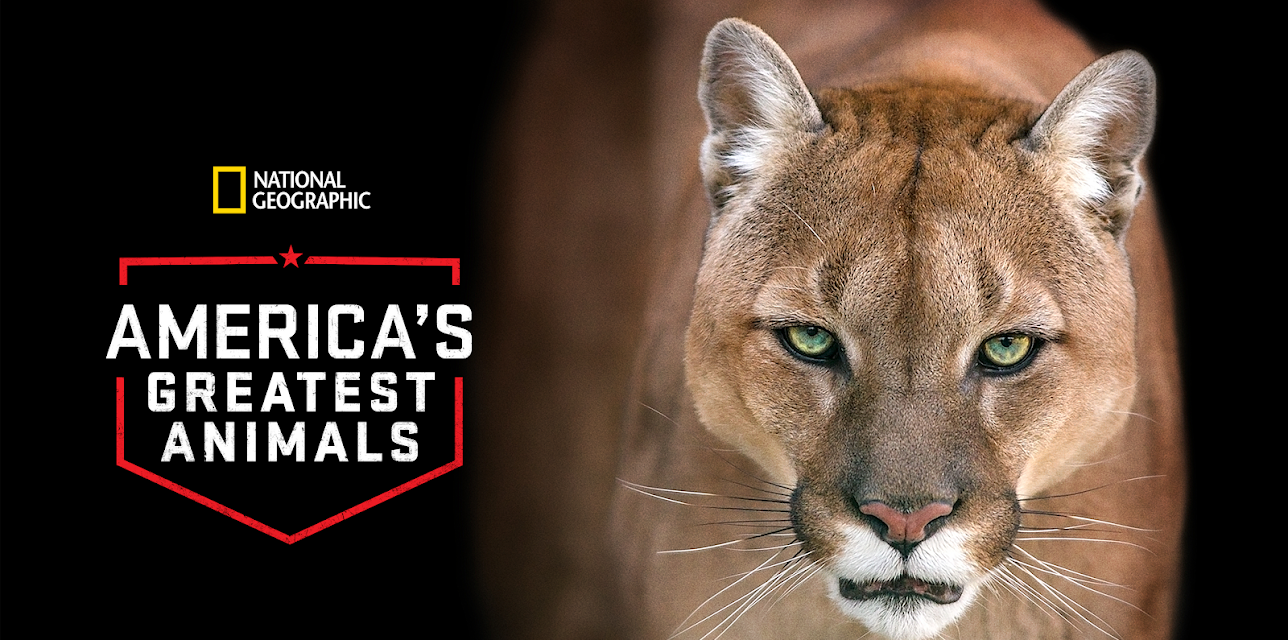 America's Greatest Animals (2012)