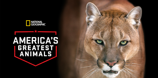 America's Greatest Animals (2012)