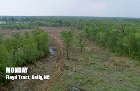 Swamp Loggers: Episode 24