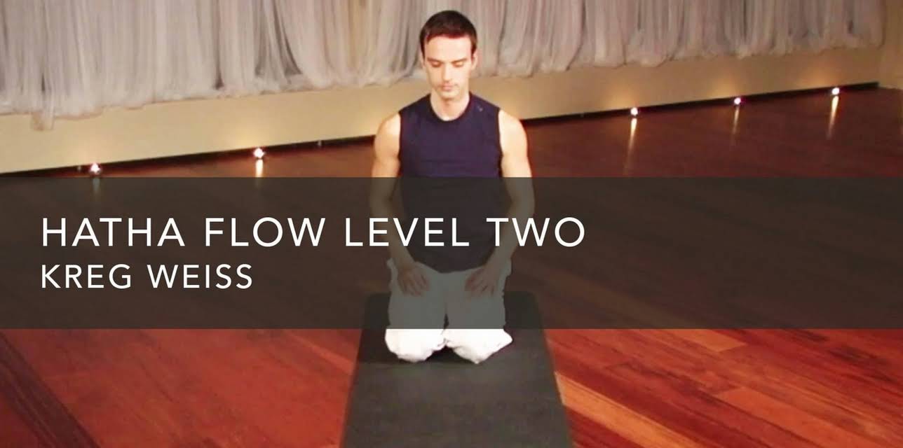 Hatha Flow Level Two (2010)