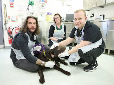 14:20: Pete Wicks - Aus Liebe zu Hunden | Sixx | 6/14 2026