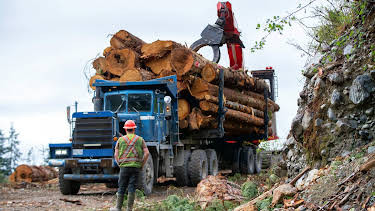 14:20: The Last Woodsmen (S1 E5) (S1) | Discovery Channel | 2/11 2026