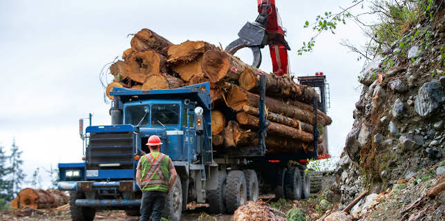 15:30: The Last Woodsmen (S1 E5) (S1) | Discovery Channel | 12/27 2025