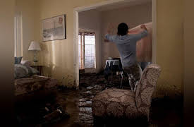 Incredible Crew Season 1: Remote Control Broccoli