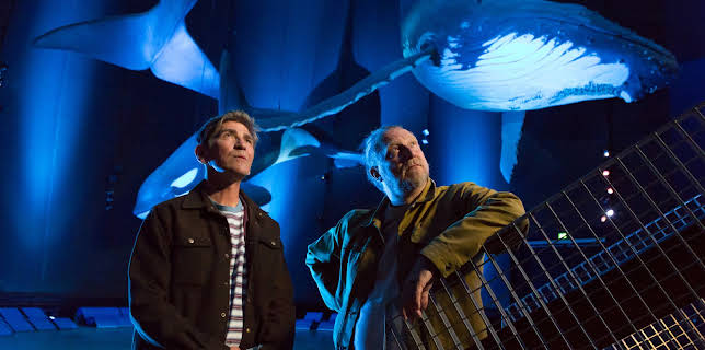 08:10: Löwenzahn | ZDF | 2/15 2026