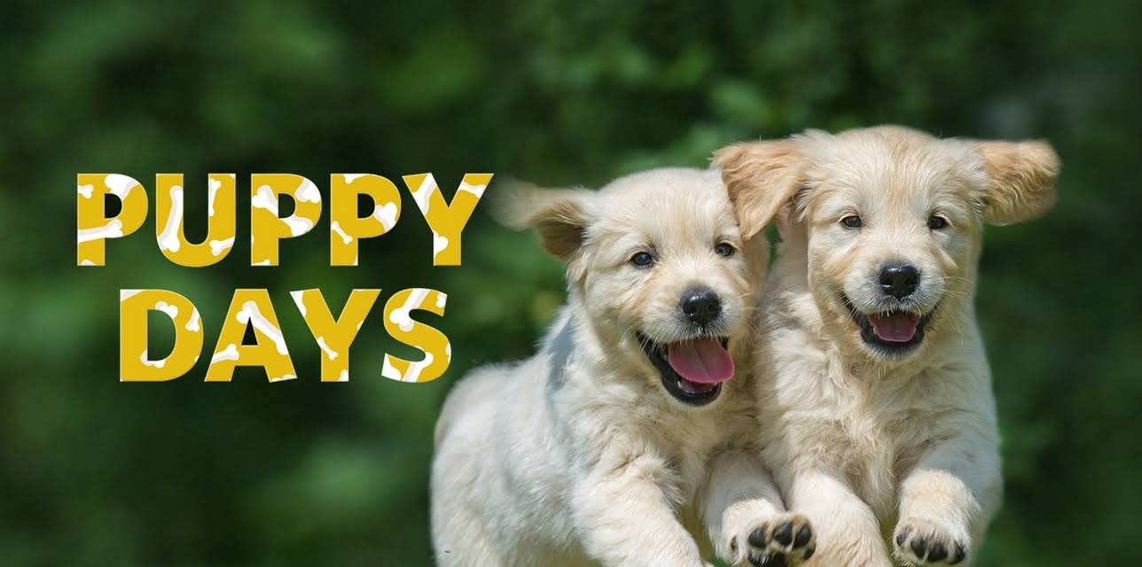 Puppy Days