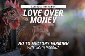 Love Over Money Extended Interviews: No to Factory Farming