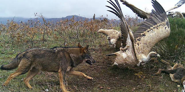 07:45: Documental Territorio Salvaje | LA 2 | 11/1 2025