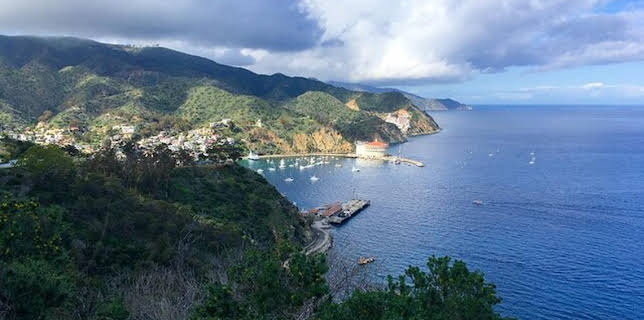 11:30: Streetphilosophy | ARD Alpha | 1/17 2026